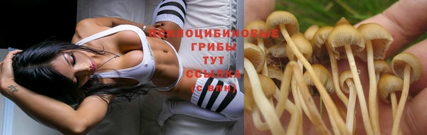 хмурый Балахна
