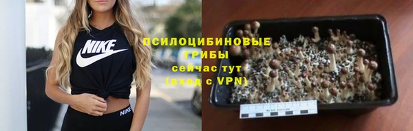 стафф Баксан