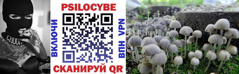 Псилоцибиновые грибы мухоморы  Голицыно 